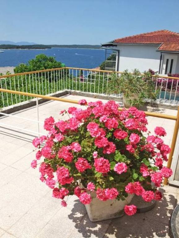 Rooms Vinka Tudor Hvar Town Exteriér fotografie